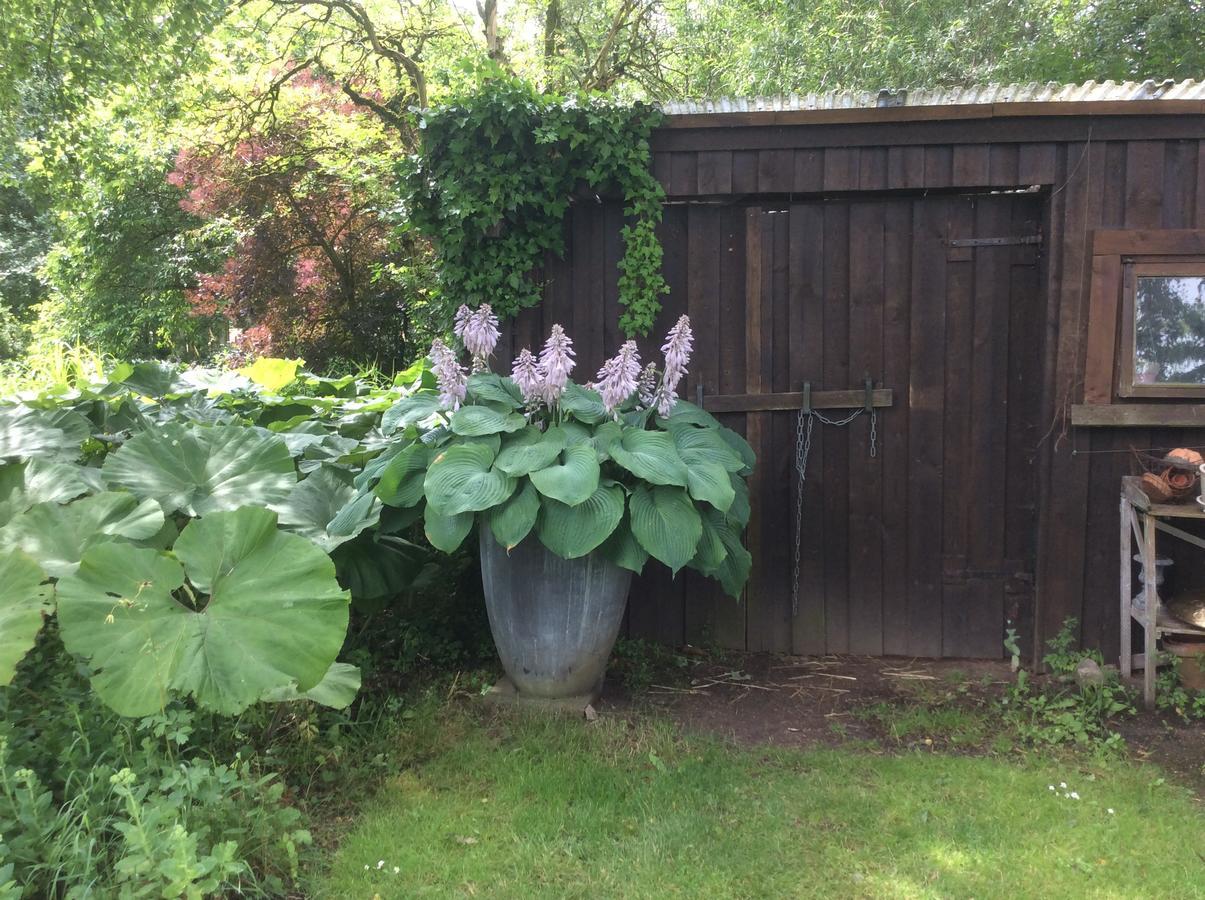 Bed And Breakfast - Stakdelen 47 Allerup Zewnętrze zdjęcie