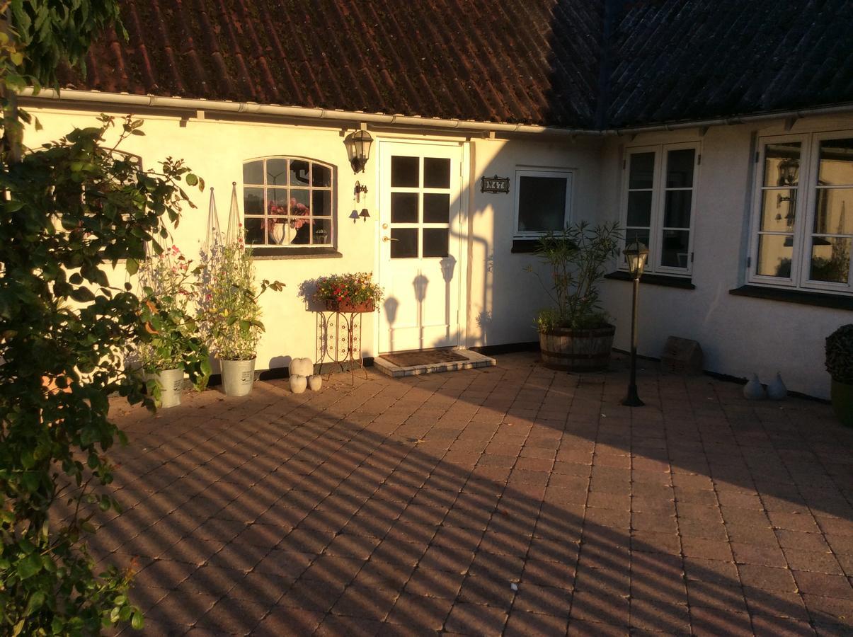 Bed And Breakfast - Stakdelen 47 Allerup Zewnętrze zdjęcie